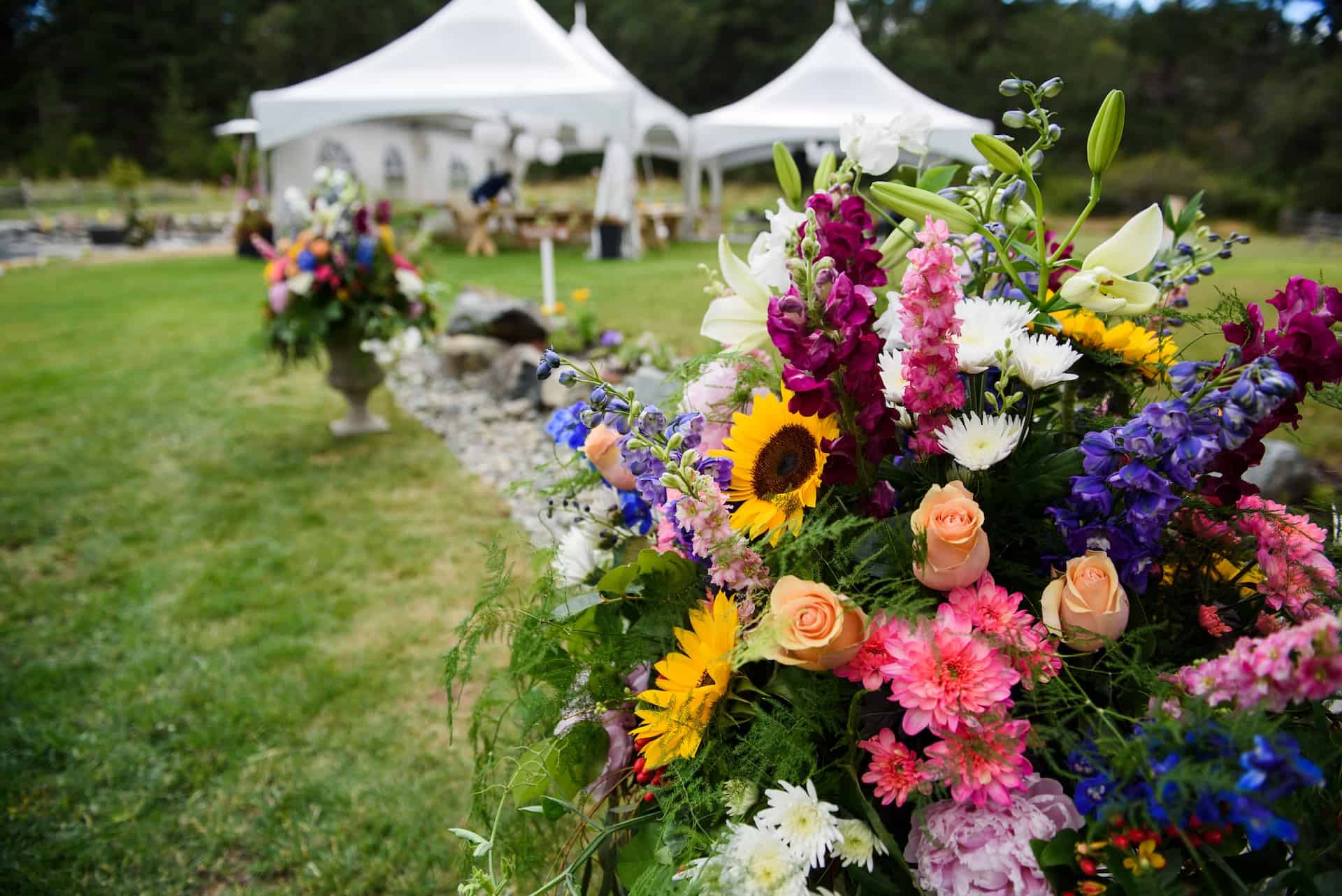 Wedding tent rental cost featured image