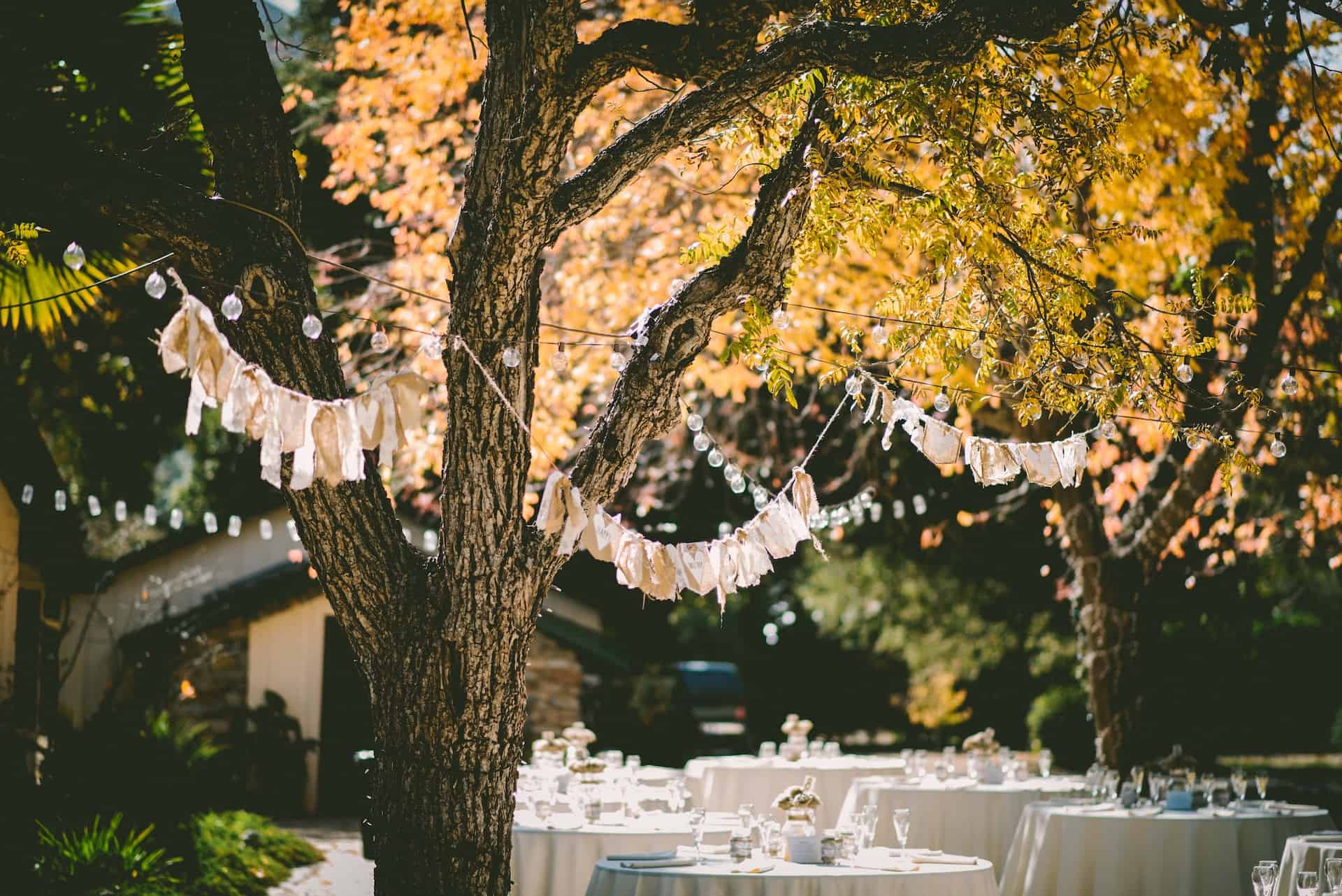 tablecloth sizes featured image